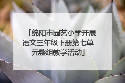 绵阳市园艺小学开展语文三年级下册第七单元整组教学活动